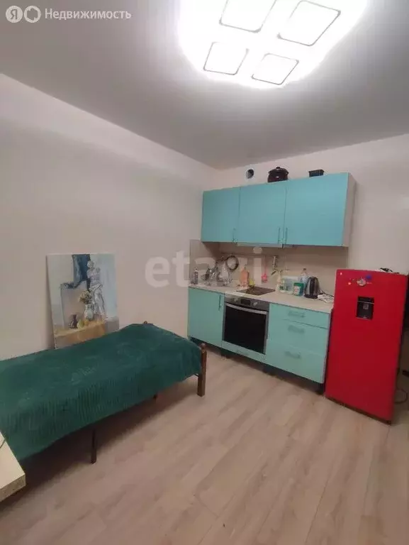 Квартира-студия: посёлок Отрадное, Рубиновая улица, 15 (19.6 м) - Фото 2