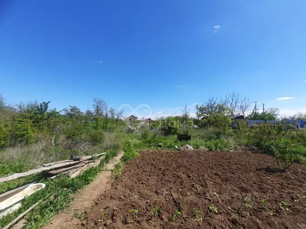 Участок в Волгоградская область, Городищенский район, Царицынское ... - Фото 1