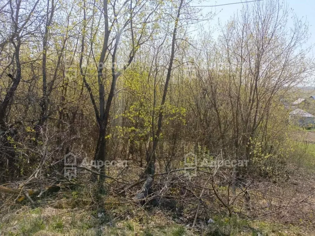 Участок в Рязанская область, Рыбновский муниципальный округ, с. ... - Фото 1