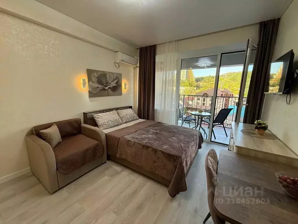 Студия Краснодарский край, Сочи городской округ, Дагомыс пгт ул. ... - Фото 1