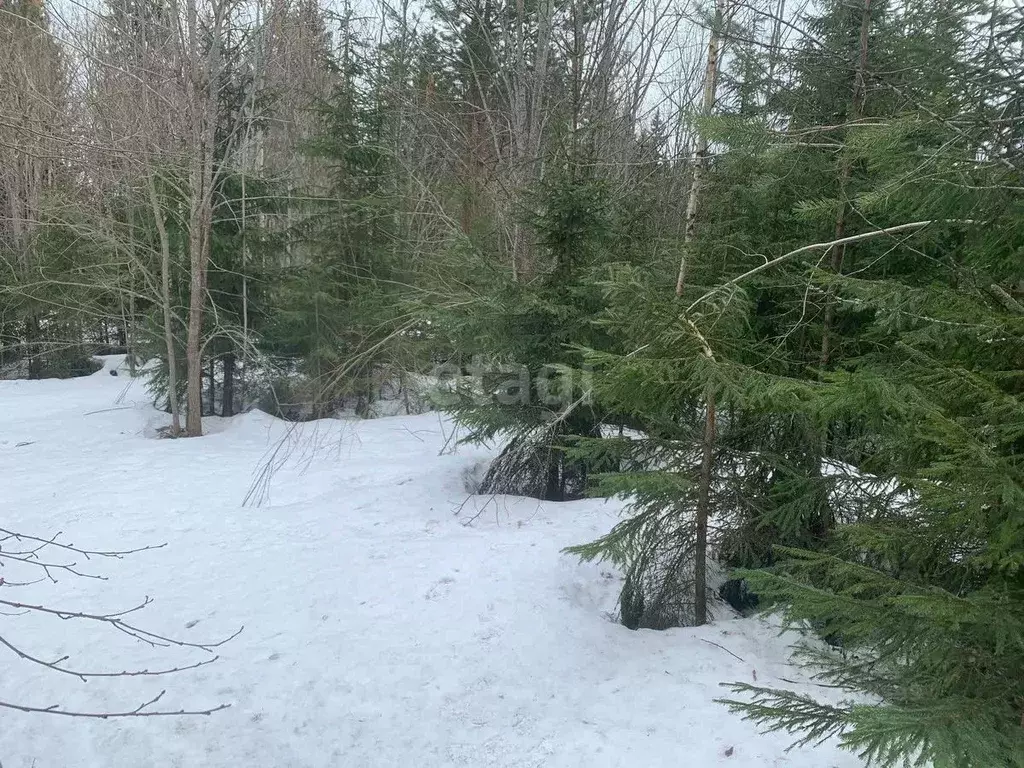Участок в Карелия, Прионежский район, пос. Деревянка  (15.0 сот.) - Фото 1
