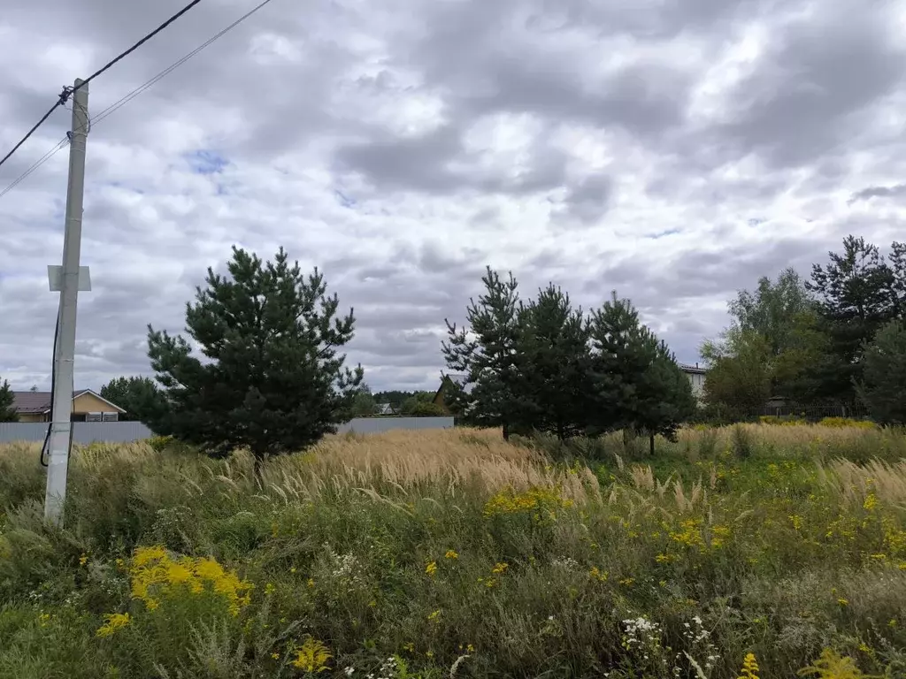 Участок в Московская область, Раменский муниципальный округ, д. Жирово ... - Фото 2
