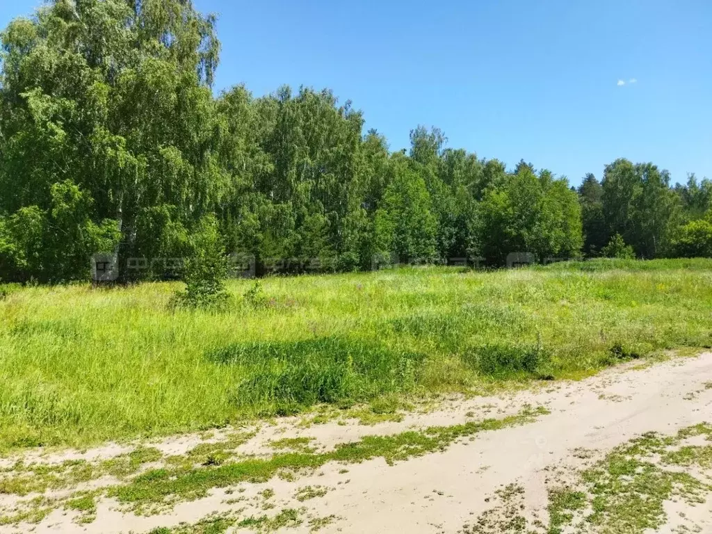 Участок в Татарстан, Лаишевский район, Егорьевское с/пос, д. Зимняя ... - Фото 2