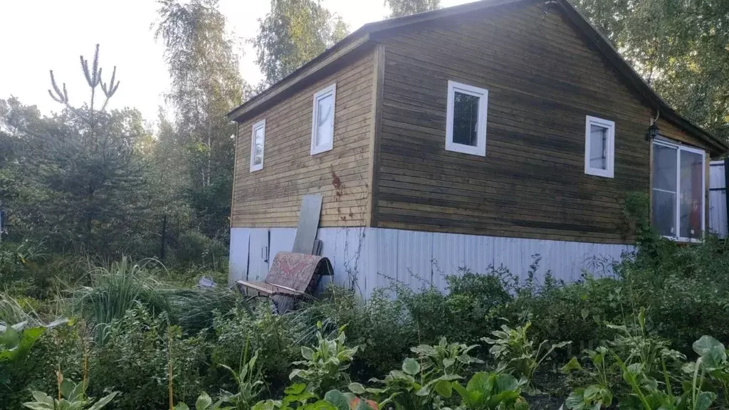 Участок в Санкт-Петербург Краснознаменец СНТ,  (6.0 сот.) - Фото 2