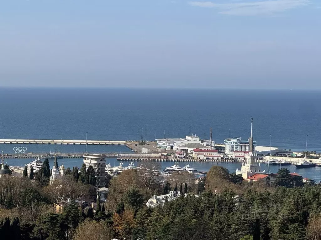 2-к кв. Краснодарский край, Сочи Альпийская ул., 1/3 (61.7 м) - Фото 1