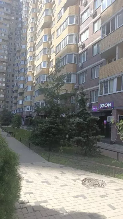 1-к кв. Воронежская область, Воронеж ул. Суворова, 122А (39.9 м) - Фото 0