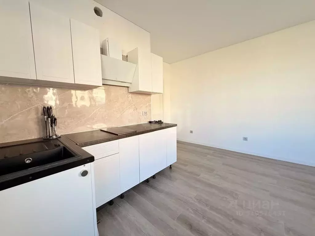 Студия Санкт-Петербург просп. Ветеранов, 202 (26.4 м) - Фото 1