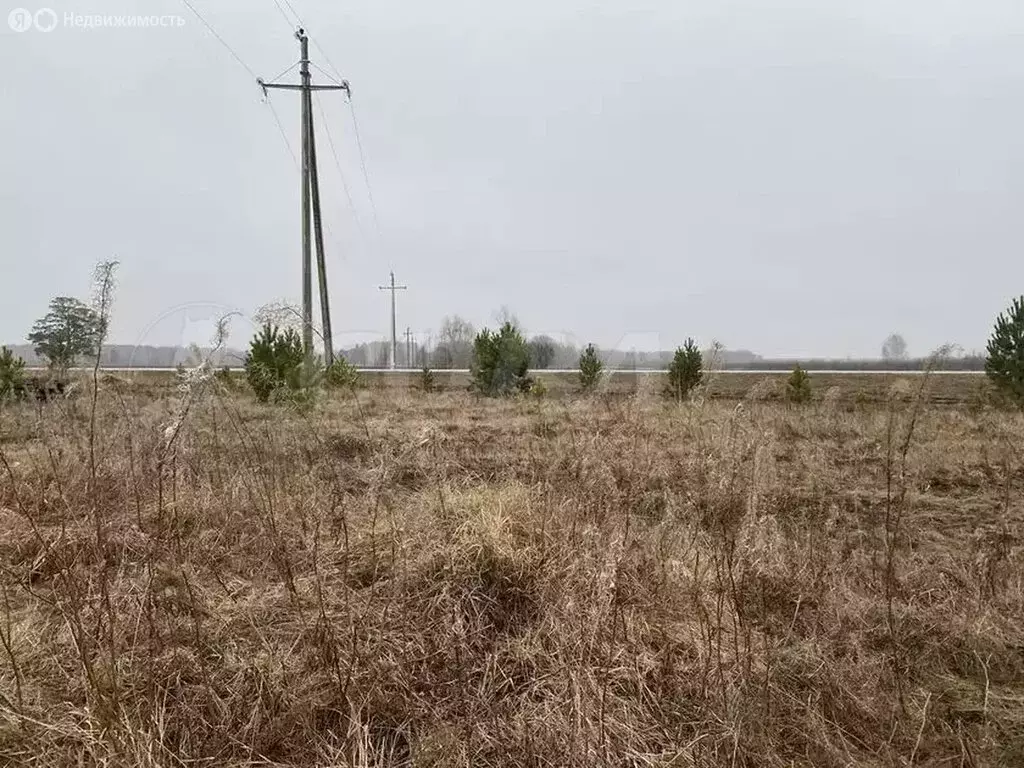 Участок в Тюменская область, село Нижняя Тавда (15.7 м) - Фото 1