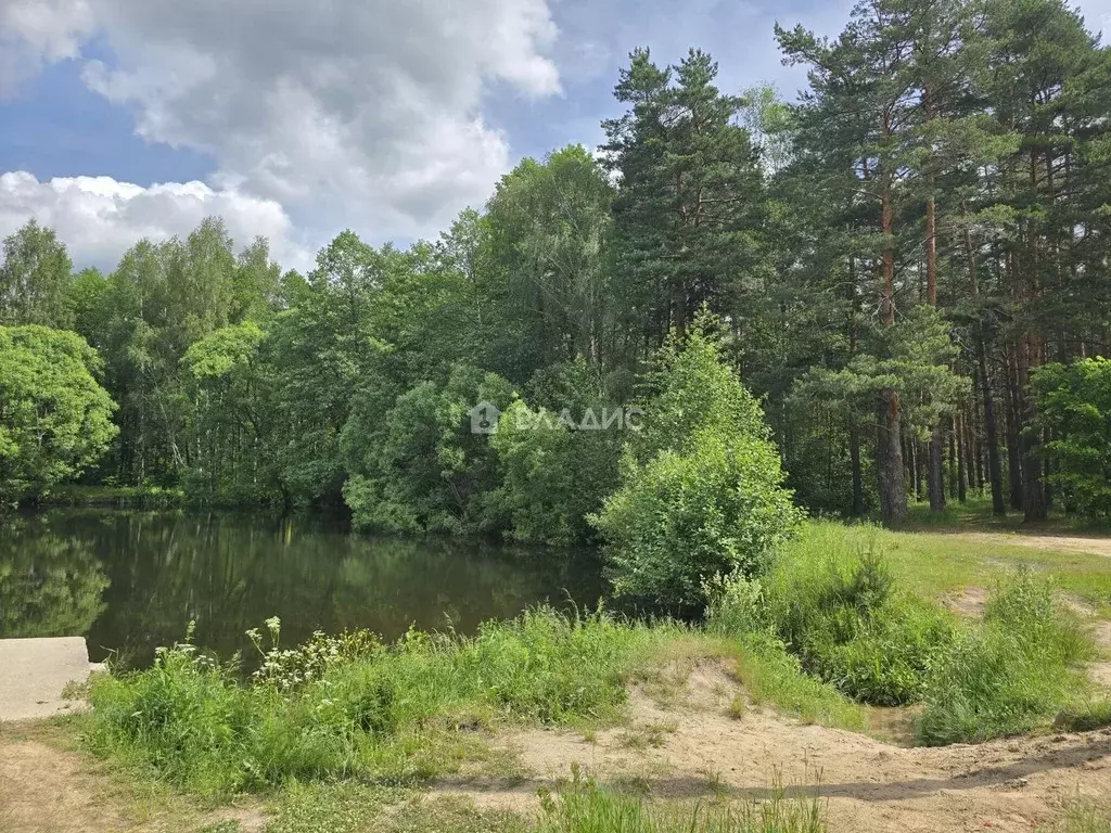 Участок в Владимирская область, Судогодский район, д. Ладога, Ладога ... - Фото 2