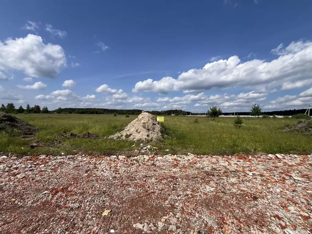 Участок в Московская область, Богородский городской округ, Следово кп ... - Фото 2