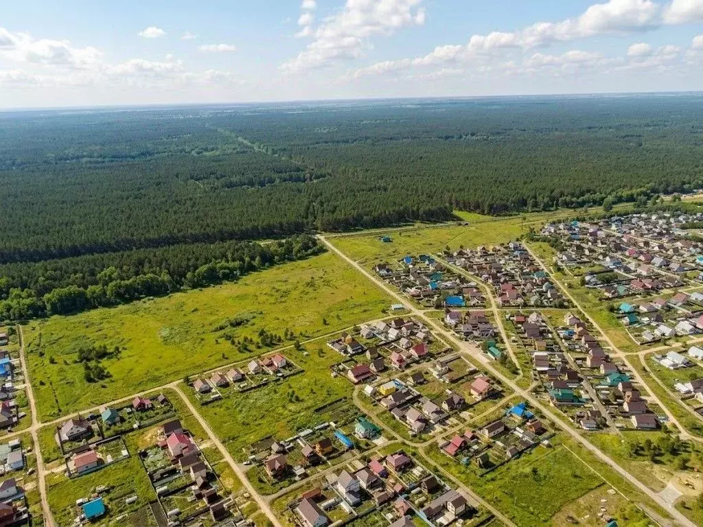 Участок в Алтайский край, Барнаул городской округ, с. Власиха  (9.02 ... - Фото 1