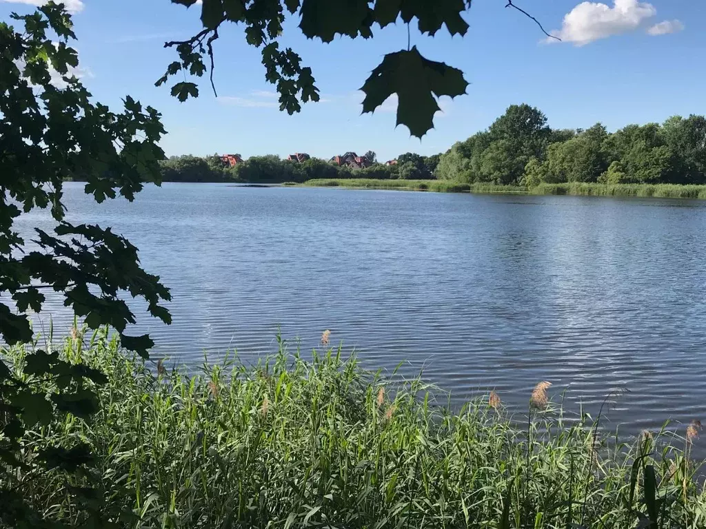Участок в Калининградская область, Гурьевский муниципальный округ, ... - Фото 1