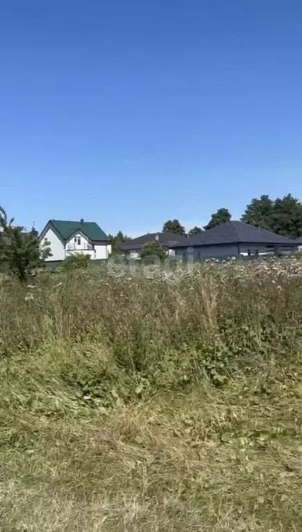 Участок в Калининградская область, Светлогорский городской округ, пос. ... - Фото 0