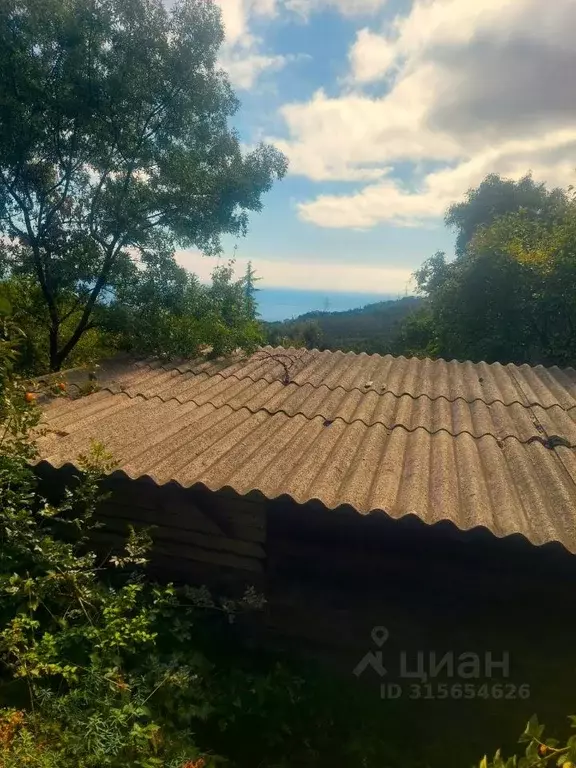 Участок в Крым, Ялта муниципальный округ, Гурзуф пгт ул. Приветная, 1 ... - Фото 1