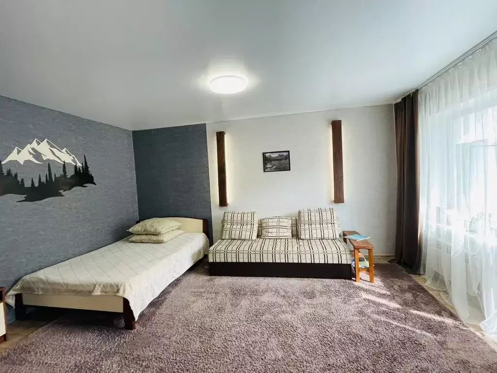 Студия Хакасия, Черемушки пгт 65 (29.0 м) - Фото 2
