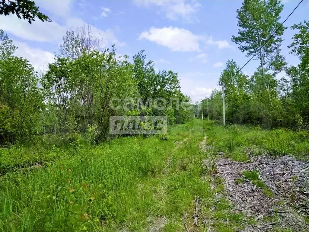 Участок 6 га (СНТ, ДНП) - Фото 0