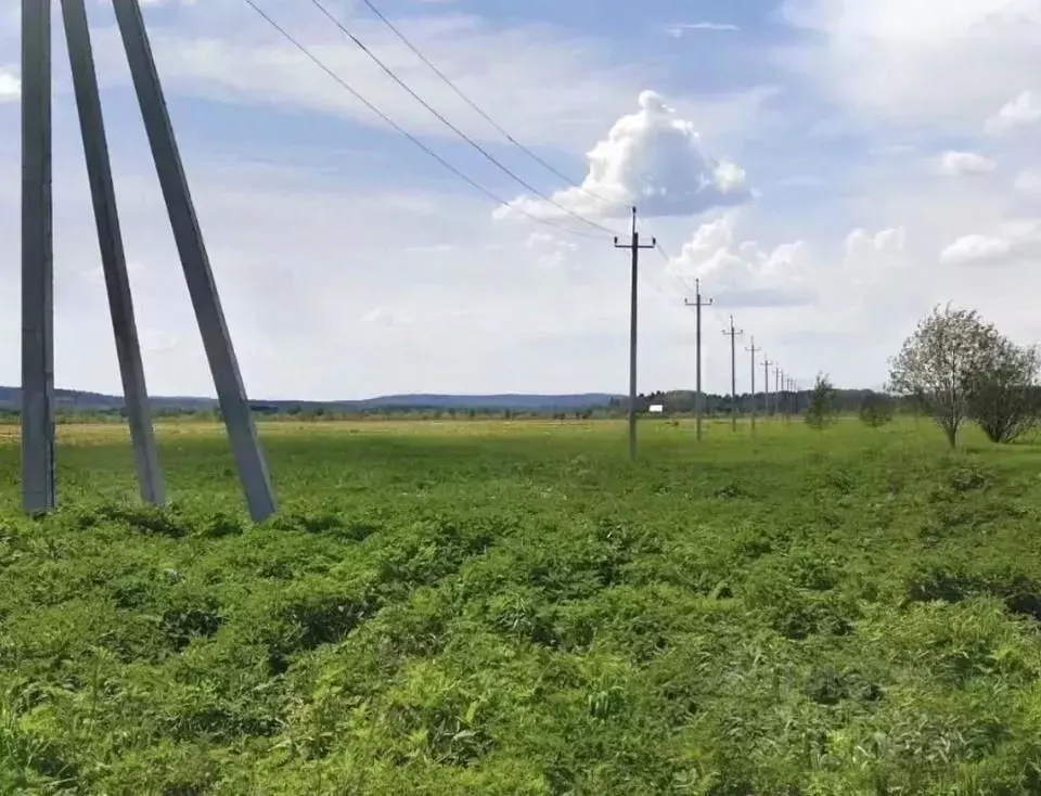 Участок в Московская область, Дмитровский муниципальный округ, д. ... - Фото 1