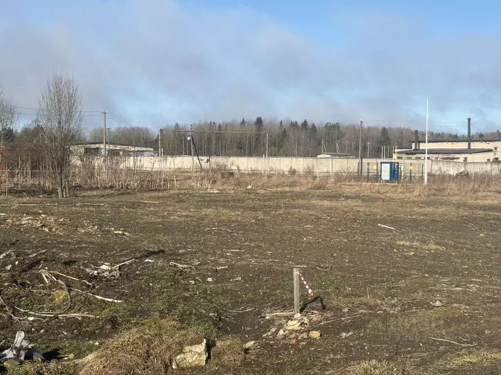 Участок в Ленинградская область, Волосовский район, Клопицкое с/пос, ... - Фото 1