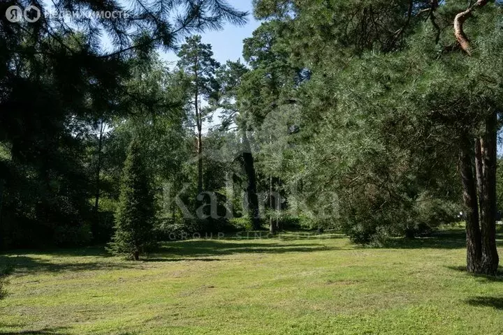 Участок в деревня Барвиха, ДПК Новь, 1-я линия (12 м) - Фото 2