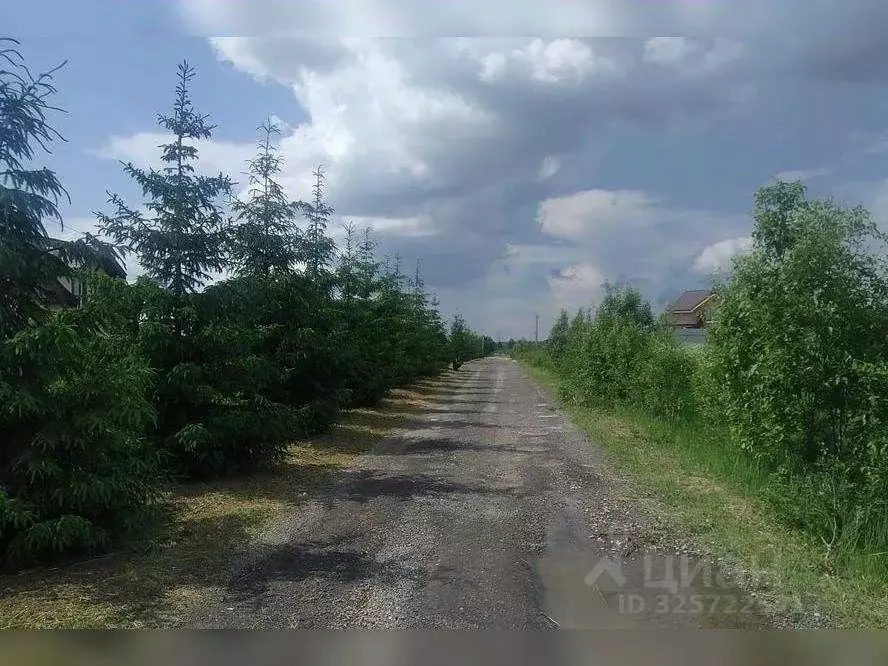 Участок в Московская область, Истра муниципальный округ, д. Шишаиха ... - Фото 1