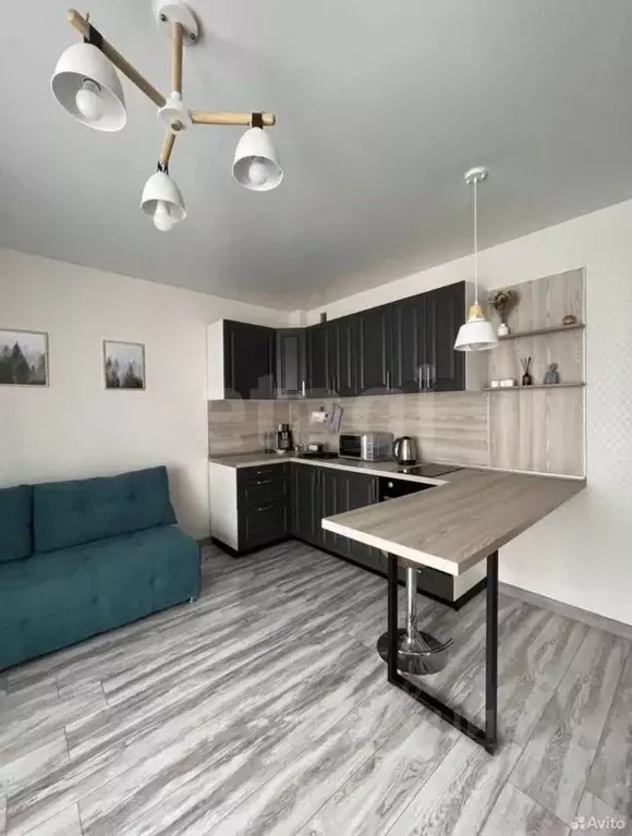 Студия Тюменская область, Тюмень ул. Николая Никитина, 4 (26.6 м) - Фото 1