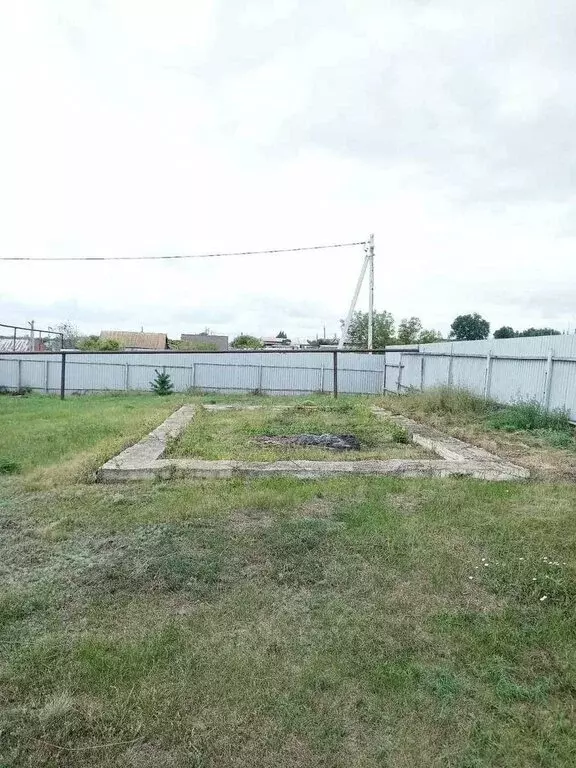 Участок в Кинельский район, сельское поселение Домашка, село ... - Фото 1