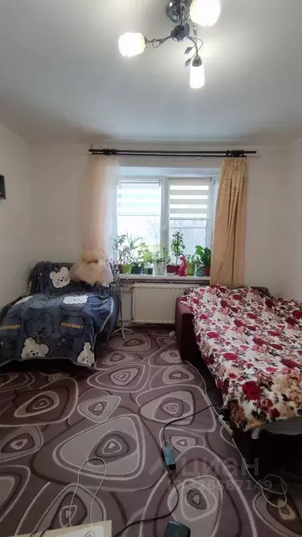 Комната Санкт-Петербург ул. Демьяна Бедного, 24к1 (12.2 м) - Фото 1