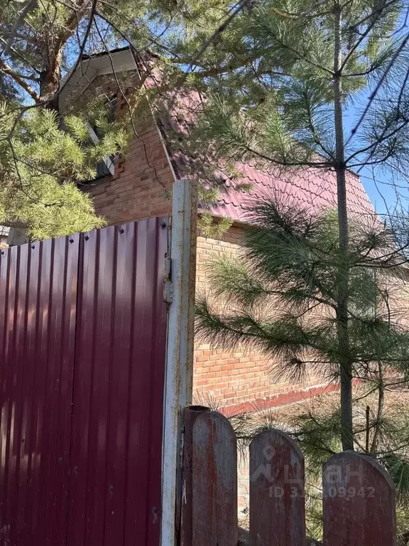 Дом в Омская область, Омск Локомотив СНТ, ул. Лесная (45 м) - Фото 1