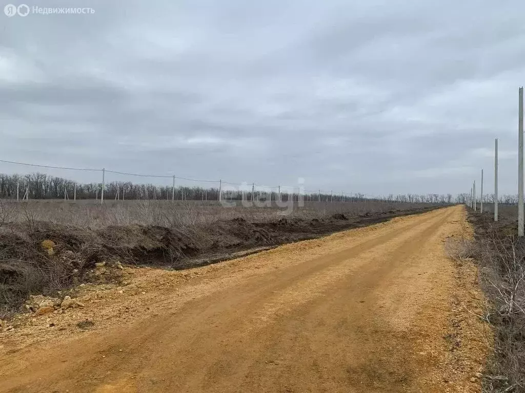 Участок в Мясниковский район, Краснокрымское сельское поселение, хутор ... - Фото 0