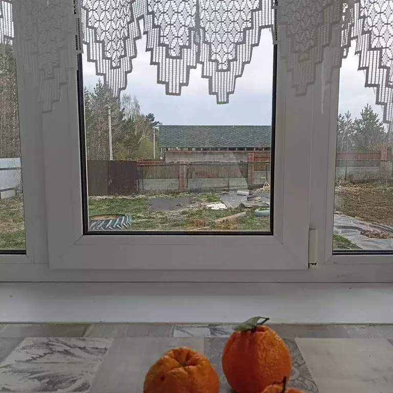 Дом в Иркутская область, Иркутский муниципальный округ, Чайка СНТ  (60 ... - Фото 2