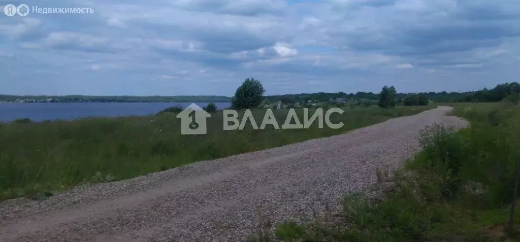 Участок в Вологодская область, Шекснинский муниципальный округ, ... - Фото 1