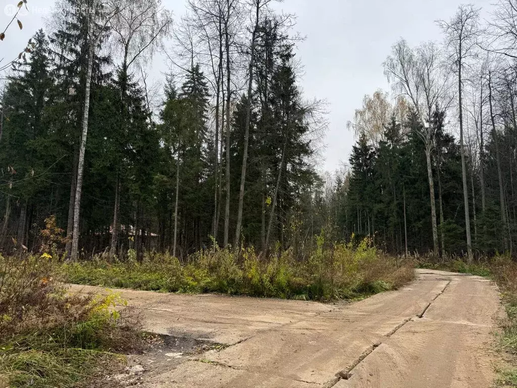 Участок в Одинцовский городской округ, деревня Сивково (11 м) - Фото 0