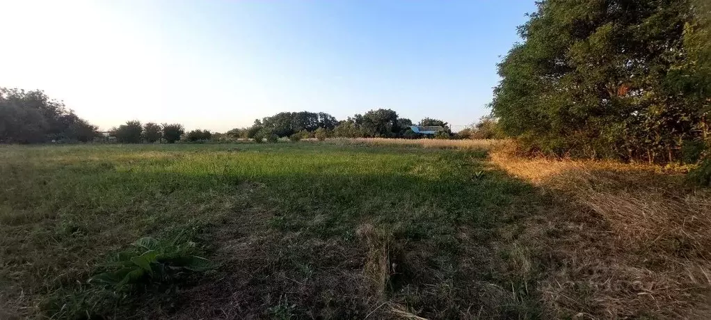 Участок в Краснодарский край, Северский район, Новодмитриевское с/пос, ... - Фото 2