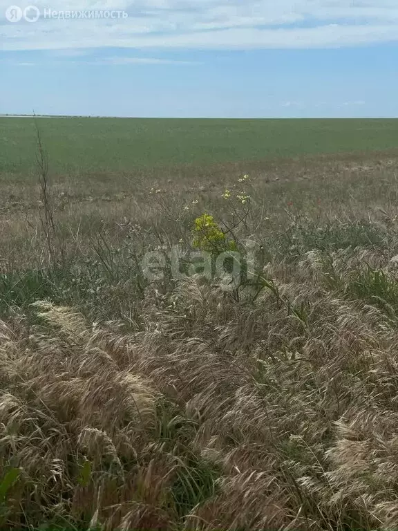 Участок в село Славное, Садовая улица (12 м) - Фото 1