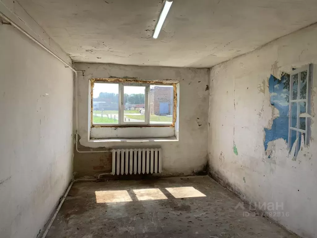 Помещение свободного назначения в Новосибирская область, Новосибирский ... - Фото 1