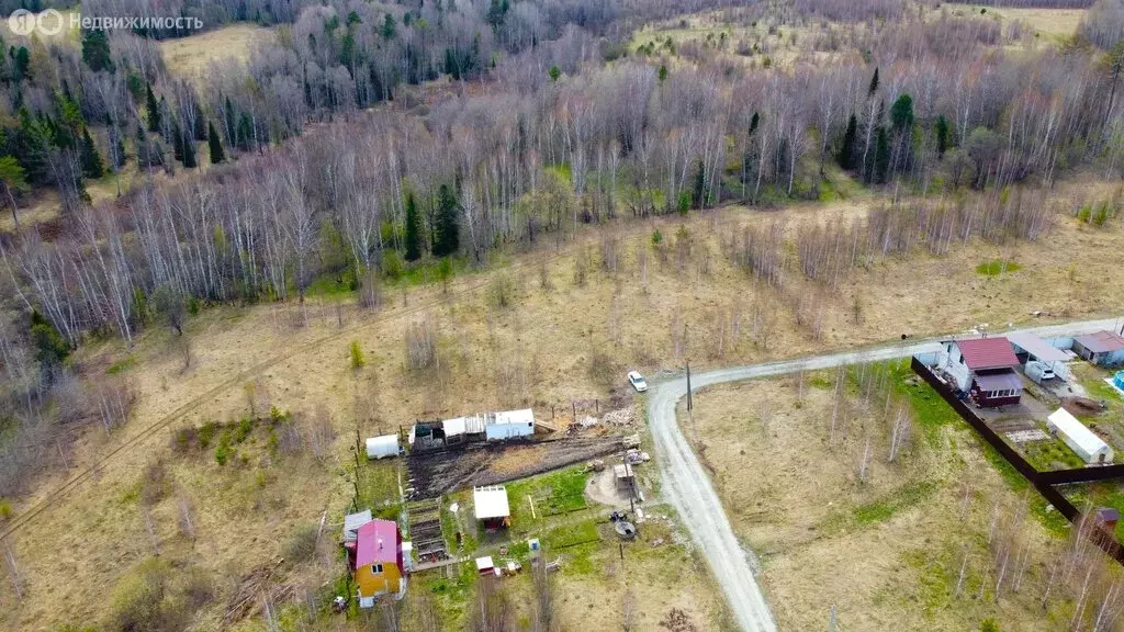 Участок в Томский район, ДНТ Новые Вешки, Янтарная улица, 2 (10 м) - Фото 1