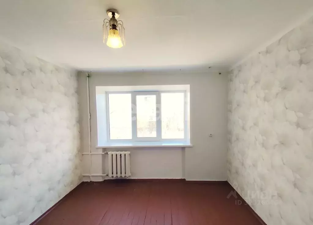 Студия Курганская область, Курган просп. Конституции, 63 (17.8 м) - Фото 1