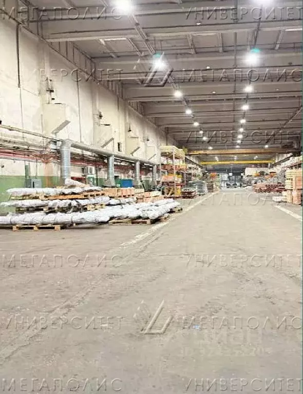 Производственное помещение в Москва Дорожная ул., 3к19с1 (3500 м) - Фото 2