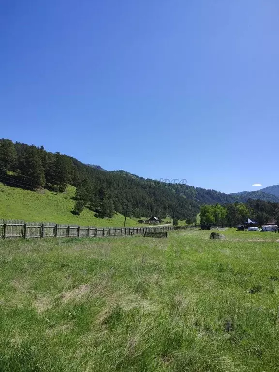Участок в Алтай, Чемальский район, Элекмонарское с/пос, с. Элекмонар  ... - Фото 1