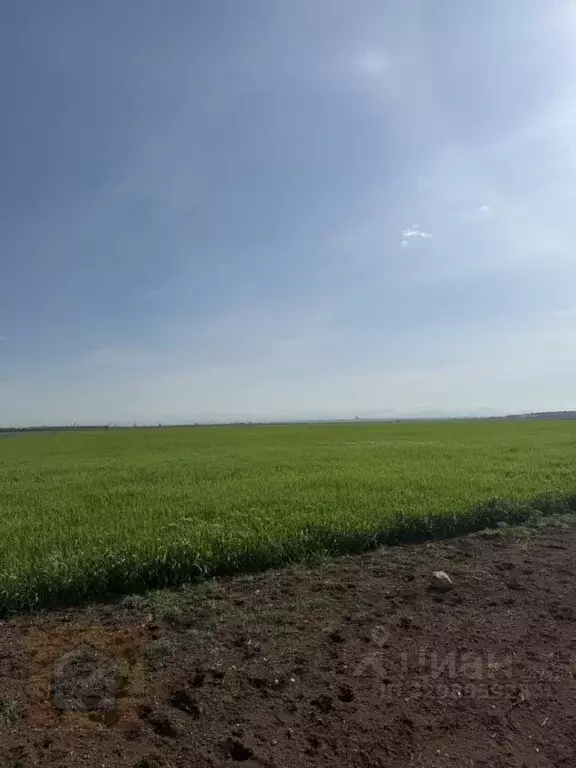 Участок в Крым, Сакский район, с. Суворовское  (130.0 сот.) - Фото 1