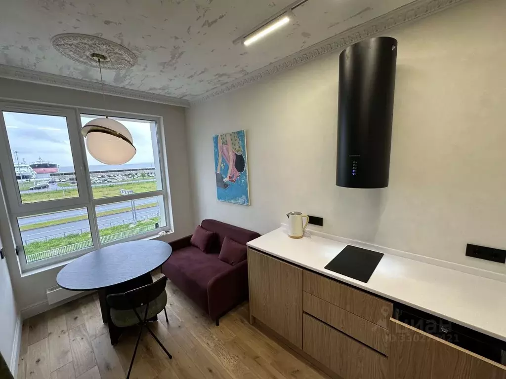 Студия Санкт-Петербург просп. Крузенштерна, 13 (32.2 м) - Фото 2