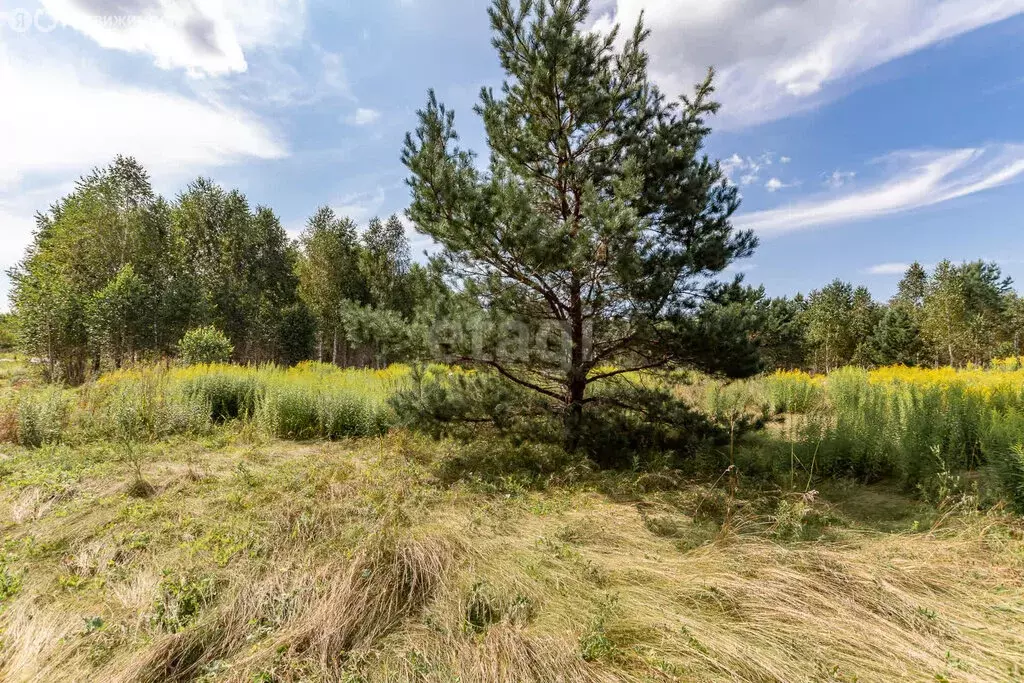 Участок в село Фирсово, Восточный проезд, 2 (10.98 м) - Фото 1