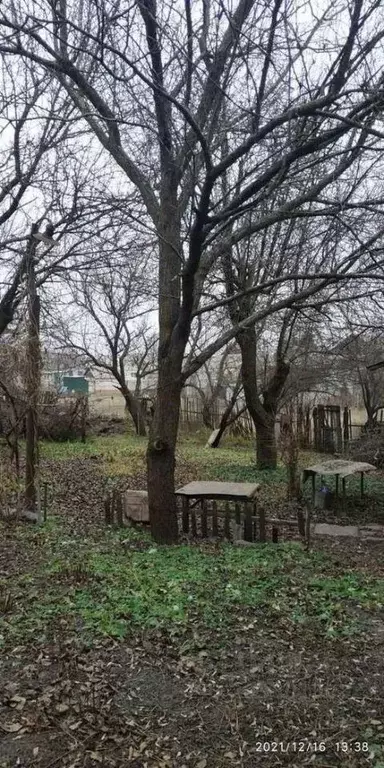 Дом в Белгородская область, Белгород ул. Константина Заслонова (40 м) - Фото 2