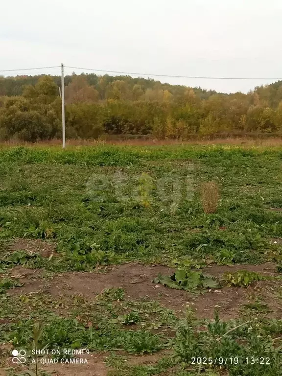 Участок в Мордовия, Лямбирский район, Берсеневское с/пос, д. Русская ... - Фото 2