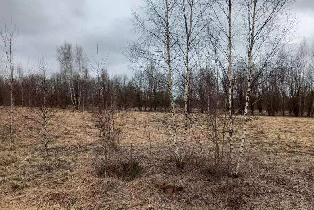 Участок в Московская область, Дмитровский муниципальный округ, д. ... - Фото 1