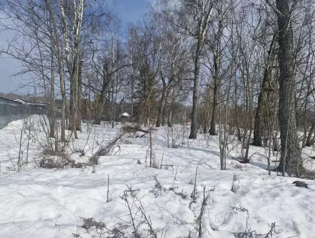 Участок в Московская область, Ступино городской округ, д. 2-я ... - Фото 1