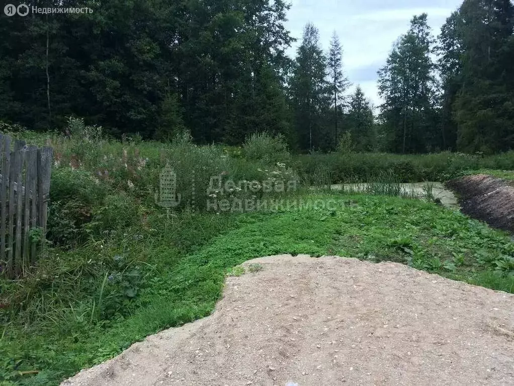Участок в Новгородский муниципальный район, Савинское сельское ... - Фото 2