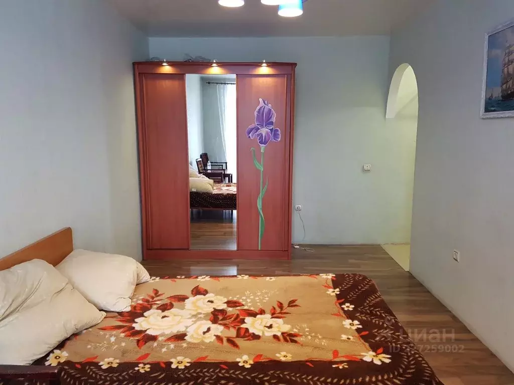 1-к кв. Иркутская область, Иркутск ул. 2-я Железнодорожная, 8В (28.0 ... - Фото 1