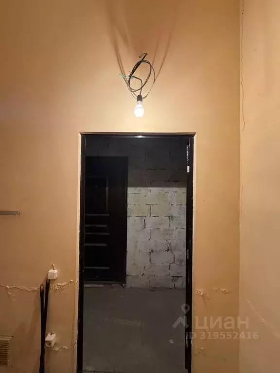 Помещение свободного назначения в Краснодарский край, Геленджик ул. ... - Фото 1