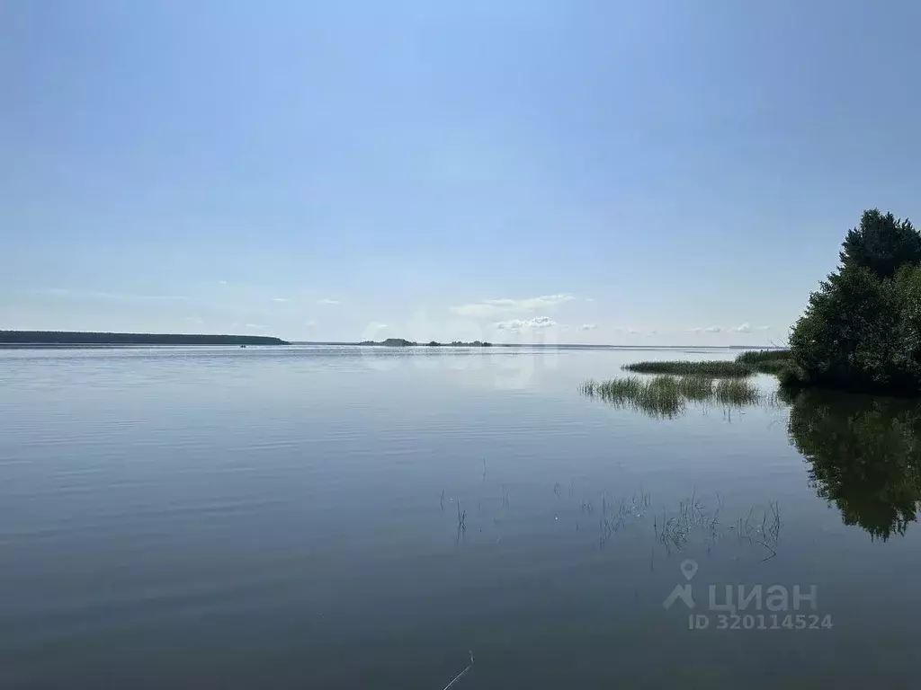 Участок в Костромская область, Кадыйский муниципальный округ, д. ... - Фото 1